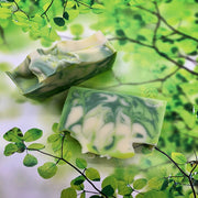 Shamrock